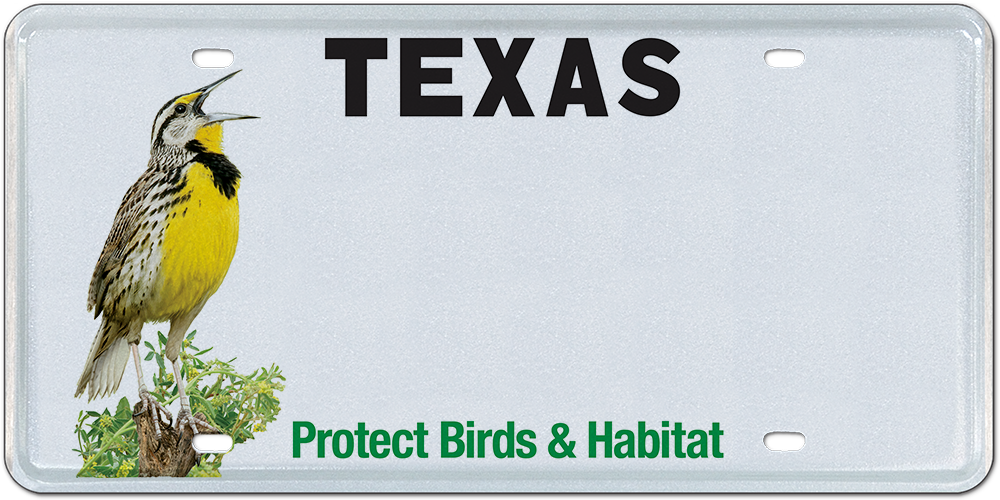 Houston Audubon (Birds and Habitat)