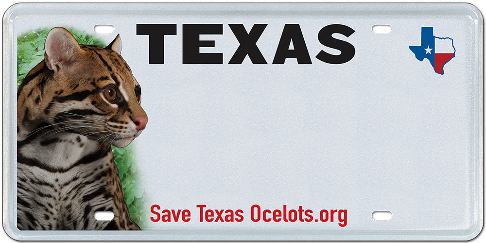 Save Texas Ocelots