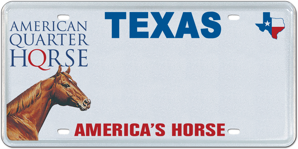 American Quarter Horse Association