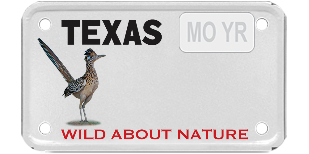 Texas Parks and Wildlife - Roadrunner