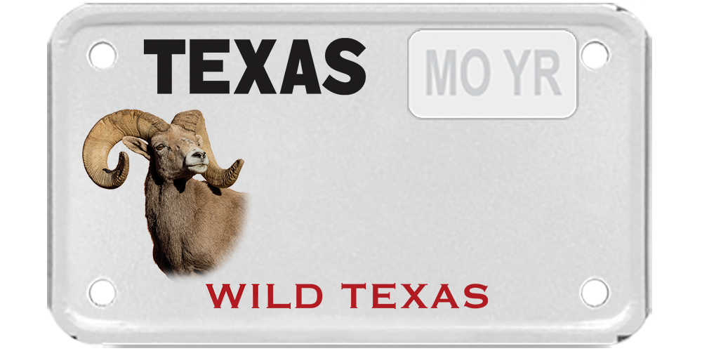 Texas Parks and Wildlife - Bighorn Sheep