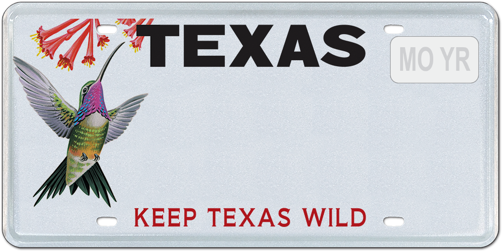 Texas Parks and Wildlife -Hummingbird
